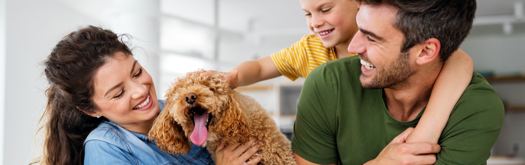 Pet Store Banner